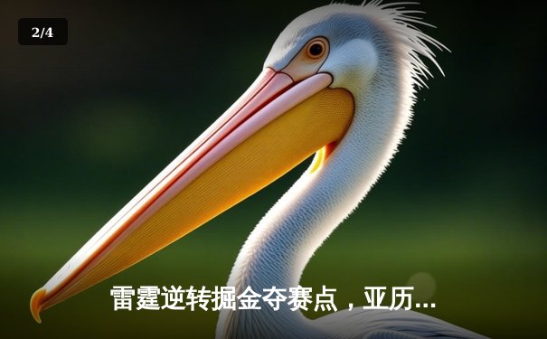 雷霆逆转掘金夺赛点，亚历山大36分导演20分大翻盘 - 2